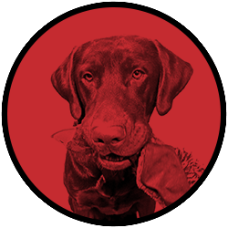 Website Image Logo for порно 45 попка